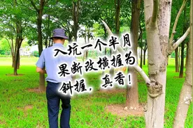 入坑弹弓一个半月，果断改横握为斜握，真香。