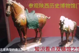 参观陜西历史博物馆(下)，知识看点及镇馆之宝视频封面