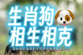 生肖狗🐶的相生相克～视频封面