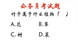 公务员考试题：竹子属于一种什么植物？难倒了一大批人