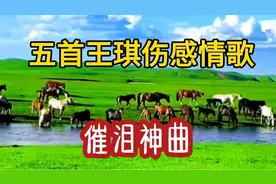 王琪最经典“催泪神曲”五首，完整版！伤感凄美，百听不厌
