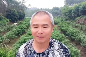普通人想拍中视频变现，搞懂中视频变现逻辑和流程，拍视频就流量视频封面