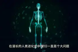 原始人的繁衍视频封面
