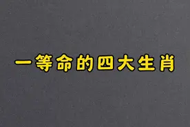 一等命的四大生肖视频封面