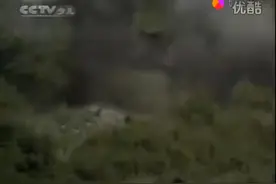 谁看过这部儿童军事题材的电视剧，看过的都已到中年了吧