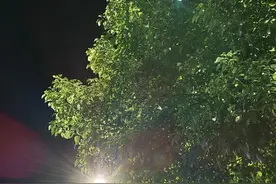 七夕这天，大家都在干嘛呢？视频封面
