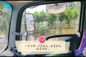 天灾过后，一片汪洋，庄家绝收，希望政府能妥善安排受苦农民。视频封面