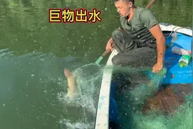 15米高200长的大网，撒下水库时隔一夜，起网看看有什么好的收获视频封面