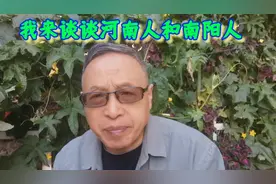 我谈河南人与河南南阳人视频封面