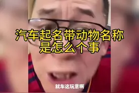 汽车起名带动物名称，是怎么个事视频封面