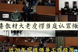 一个毒教材大老虎的认罪悔罪书
