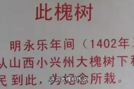 民间故事洪洞大槐树传说视频封面