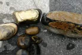 活着就是一种修行，无论你是做什么都是功德无量的修行