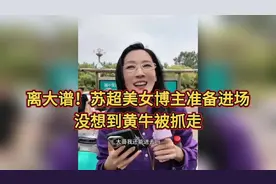 离大谱！苏超淮安对阵南京美女准备进场，没想到黄牛被抓走了
