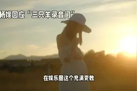大杨嫂回应'三只羊录音门'，力证清白视频封面