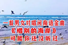 一首男女对唱闽南语金曲《惜别的海岸》非常好听，可能你还没听过视频封面