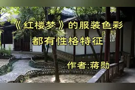 《红楼梦》的服装色彩都有性格特征，作者，蒋勋视频封面