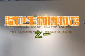 青蛙作为盐城湿地生物博物馆的重要成员，其稀有标本让人大开眼界视频封面