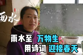 雨水至，万物生，看看古人是用什么诗词描述雨水的视频封面