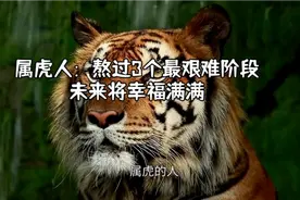 属虎人：熬过这3个阶段未来必将幸福满满！视频封面