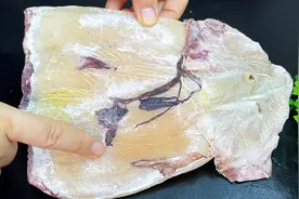 泡发干鱿鱼切记只加清水泡，30年厨师教一招，1小时泡发5倍视频封面