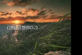 还是会想你DJ版视频封面