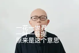 一花一世界，一叶一菩提。原来是这个意思，真妙！视频封面