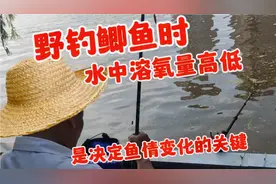 野钓鲫鱼时，水中溶氧量高低，是决定鱼情变化的关键