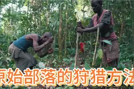 非洲原始部落的俾格米人，寻找猎物方法前所未见，钓鱼技术太硬核视频封面