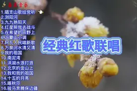 经典红歌联唱，带你回到火红的年代《唱支山歌给党听》《浏阳河》视频封面