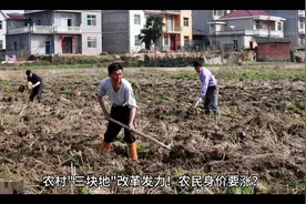 三块地盘活，农民增收万亿！土地变"活钱"撬动乡村振兴.视频封面