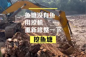 鱼塘没有鱼，用挖机清理一下，放点鱼苗，来年时候能够有很多鱼
