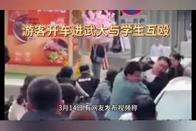 游客开车进武大与学生互殴视频封面