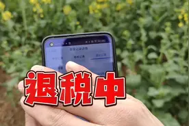 头条十几万粉丝博主2023年度退税，竟然比我预算退的还多。视频封面
