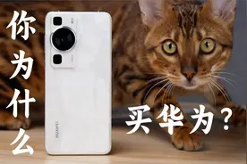 为什么买华为？华为P60评测【消费者说】视频封面