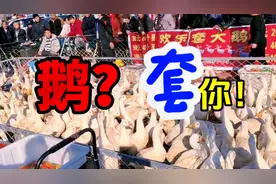 农村大集惊现新型互动游戏“套大鹅”，这奖品真实惠，大鹅炖起！