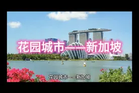 花园城市——新加坡@头条号 @中视频伙伴计划官号 @观世界说天下视频封面