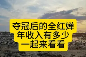 连连夺冠后的全红婵年收入有多少？一起来看看视频封面