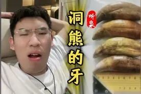 洞熊的牙？带回国内？视频封面