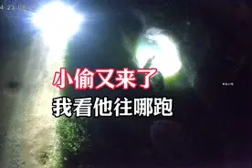 小偷又来偷地笼了，小何快速赶过去，看他们往哪跑视频封面