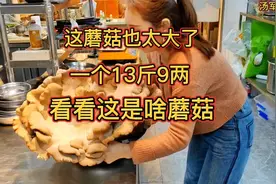 客人吃的不满意，但是明天还要来，看看到底因为啥？
