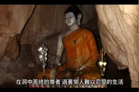 至尊米拉日巴传          深山中的艰苦修行视频封面