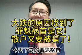 速看：下午大跌得原因找到了，罪魁祸首是它，散户又要被骗了！视频封面