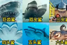 盘点电影中的变异鲨鱼，你觉得哪个更厉害，五个头的鲨鱼好凶猛