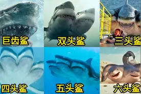 盘点电影中的变异鲨鱼，你觉得哪个更厉害，五个头的鲨鱼好凶猛