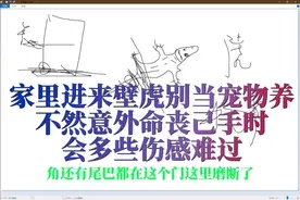 家里进来壁虎别当宠物养 不然意外命丧己手时会多些伤感难过视频封面