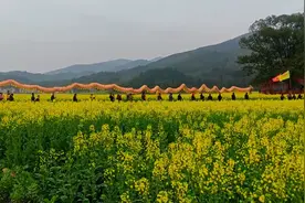 安福县洋溪镇石山村二月二龙抬头油菜花节视频封面