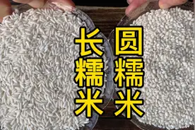 才知道，“长糯米”和“圆糯米”区别那么大，难怪端午粽子不好吃视频封面