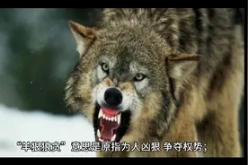 羊狠狼贪—睡前故事视频封面