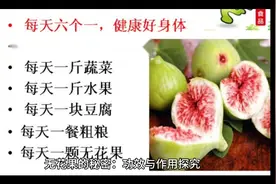 无花果的功效与作用视频封面